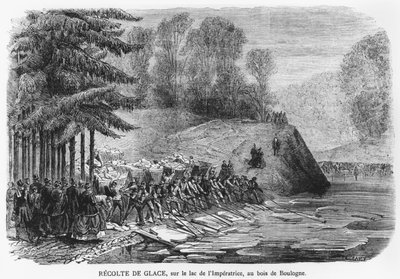 حصاد جليدي على بحيرة الإمبراطورة في بوا دو بولون في باريس ، رسم توضيحي من "لو جورنال إيلوستري" ، 13 فبراير 1870 بواسطة أ. لامي